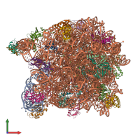 PDB entry 3cc4 coloured by chain, front view.