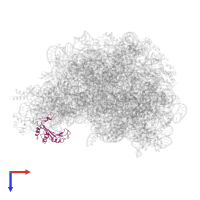 Large ribosomal subunit protein uL5 in PDB entry 3ccr, assembly 1, top view.