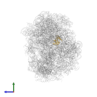 Large ribosomal subunit protein uL23 in PDB entry 3ccs, assembly 1, side view.