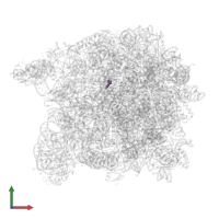 Modified residue OMG in PDB entry 3ccs, assembly 1, front view.