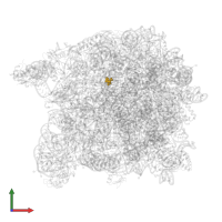 Modified residue OMU in PDB entry 3ccs, assembly 1, front view.