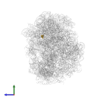 Modified residue OMU in PDB entry 3ccs, assembly 1, side view.
