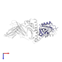 Natural killer cells antigen CD94 in PDB entry 3cdg, assembly 1, top view.