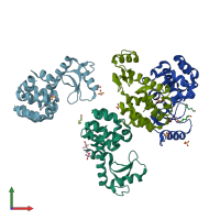 PDB entry 3cdo coloured by chain, front view.