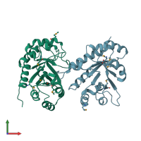 PDB entry 3ceu coloured by chain, front view.