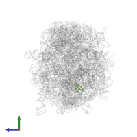 Large ribosomal subunit protein bL27 in PDB entry 3cf5, assembly 1, side view.