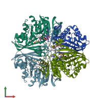 PDB entry 3cif coloured by chain, front view.