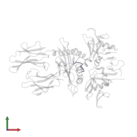 Soluble HLA class I histocompatibility antigen, alpha chain G in PDB entry 3cii, assembly 1, front view.