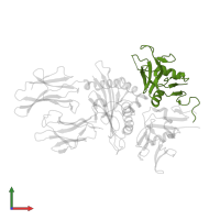 NKG2-A/NKG2-B type II integral membrane protein in PDB entry 3cii, assembly 1, front view.