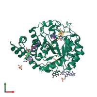 PDB entry 3ciw coloured by chain, front view.