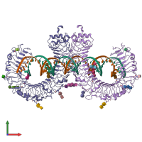 PDB entry 3ciy coloured by chain, front view.