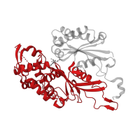 The deposited structure of PDB entry 3cj7 contains 1 copy of CATH domain 3.30.420.150 (Nucleotidyltransferase; domain 5) in Ectonucleoside triphosphate diphosphohydrolase 2. Showing 1 copy in chain A.