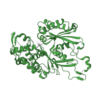 The deposited structure of PDB entry 3cj7 contains 1 copy of Pfam domain PF01150 (GDA1/CD39 (nucleoside phosphatase) family) in Ectonucleoside triphosphate diphosphohydrolase 2. Showing 1 copy in chain A.