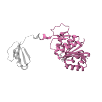 The deposited structure of PDB entry 3cjq contains 3 copies of CATH domain 3.40.50.150 (Rossmann fold) in Ribosomal protein L11 methyltransferase. Showing 1 copy in chain A.