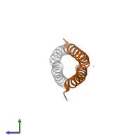 General control transcription factor GCN4 in PDB entry 3ck4, assembly 1, side view.
