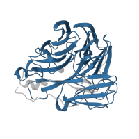 The deposited structure of PDB entry 3ckz contains 1 copy of Pfam domain PF00064 (Neuraminidase) in Neuraminidase. Showing 1 copy in chain A.