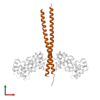 NF-kappa-B essential modulator in PDB entry 3cl3, assembly 1, front view.