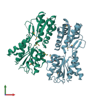 PDB entry 3clk coloured by chain, front view.