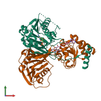 PDB entry 3clu coloured by chain, front view.