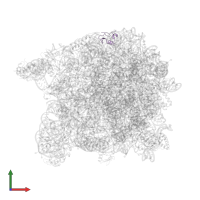 Large ribosomal subunit protein eL24 in PDB entry 3cme, assembly 1, front view.