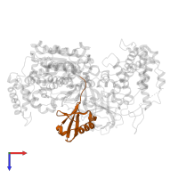 Ubiquitin in PDB entry 3cmm, assembly 1, top view.