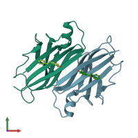 PDB entry 3cn0 coloured by chain, front view.