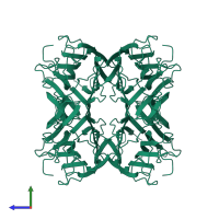 Concanavalin-A, 2nd part in PDB entry 3cna, assembly 1, side view.