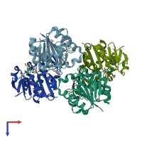 PDB entry 3cne coloured by chain, top view.