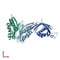 PDB entry 3cnx coloured by chain, front view.