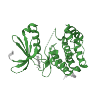 The deposited structure of PDB entry 3coh contains 2 copies of Pfam domain PF00069 (Protein kinase domain) in Aurora kinase A. Showing 1 copy in chain A.