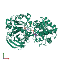PDB entry 3cop coloured by chain, front view.