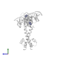 ZINC ION in PDB entry 3coq, assembly 1, side view.