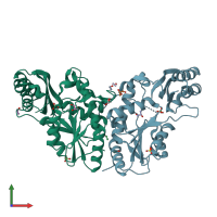 PDB entry 3cov coloured by chain, front view.