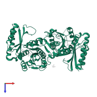 Pantothenate synthetase in PDB entry 3cow, assembly 1, top view.