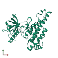 Vascular endothelial growth factor receptor 2 in PDB entry 3cp9, assembly 1, front view.