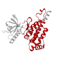 The deposited structure of PDB entry 3cpb contains 2 copies of CATH domain 1.10.510.10 (Transferase(Phosphotransferase); domain 1) in Vascular endothelial growth factor receptor 2. Showing 1 copy in chain A.
