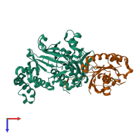 PDB entry 3cpj coloured by chain, top view.