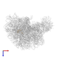 Large ribosomal subunit protein eL37 in PDB entry 3cpw, assembly 1, top view.