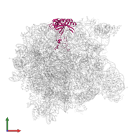 Large ribosomal subunit protein uL3 in PDB entry 3cpw, assembly 1, front view.