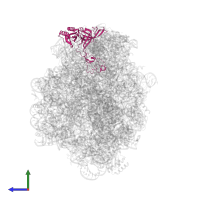 Large ribosomal subunit protein uL3 in PDB entry 3cpw, assembly 1, side view.