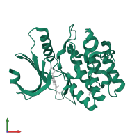 Wee1-like protein kinase in PDB entry 3cqe, assembly 1, front view.