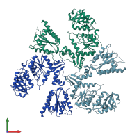 PDB entry 3cr8 coloured by chain, front view.