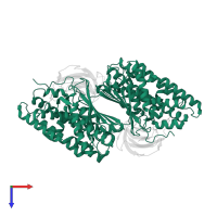 [Pyruvate dehydrogenase (acetyl-transferring)] kinase isozyme 2, mitochondrial in PDB entry 3crk, assembly 1, top view.