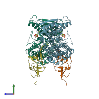 PDB entry 3crl coloured by chain, side view.