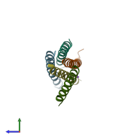 PDB entry 3crp coloured by chain, side view.