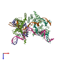PDB entry 3crx coloured by chain, top view.