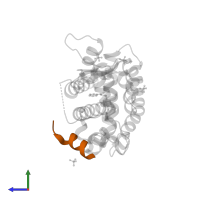 Peroxisome proliferator-activated receptor gamma coactivator 1-alpha in PDB entry 3cs8, assembly 1, side view.