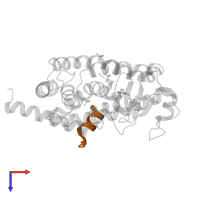 Peroxisome proliferator-activated receptor gamma coactivator 1-alpha in PDB entry 3cs8, assembly 1, top view.