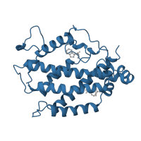 The deposited structure of PDB entry 3csm contains 2 copies of SCOP domain 48604 (Allosteric chorismate mutase) in Chorismate mutase. Showing 1 copy in chain A.