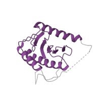 The deposited structure of PDB entry 3cue contains 4 copies of CATH domain 3.30.450.70 (Beta-Lactamase) in Trafficking protein particle complex subunit 23. Showing 1 copy in chain A.